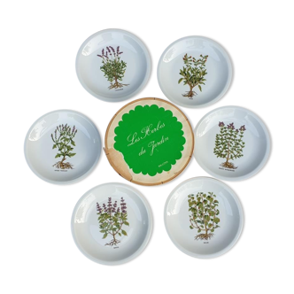 Boîte de 6 assiettes vintages "herbes du jardin" porcelaine berry