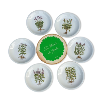 Box of 6 vintage plates "herbs of the garden" porcelain berry