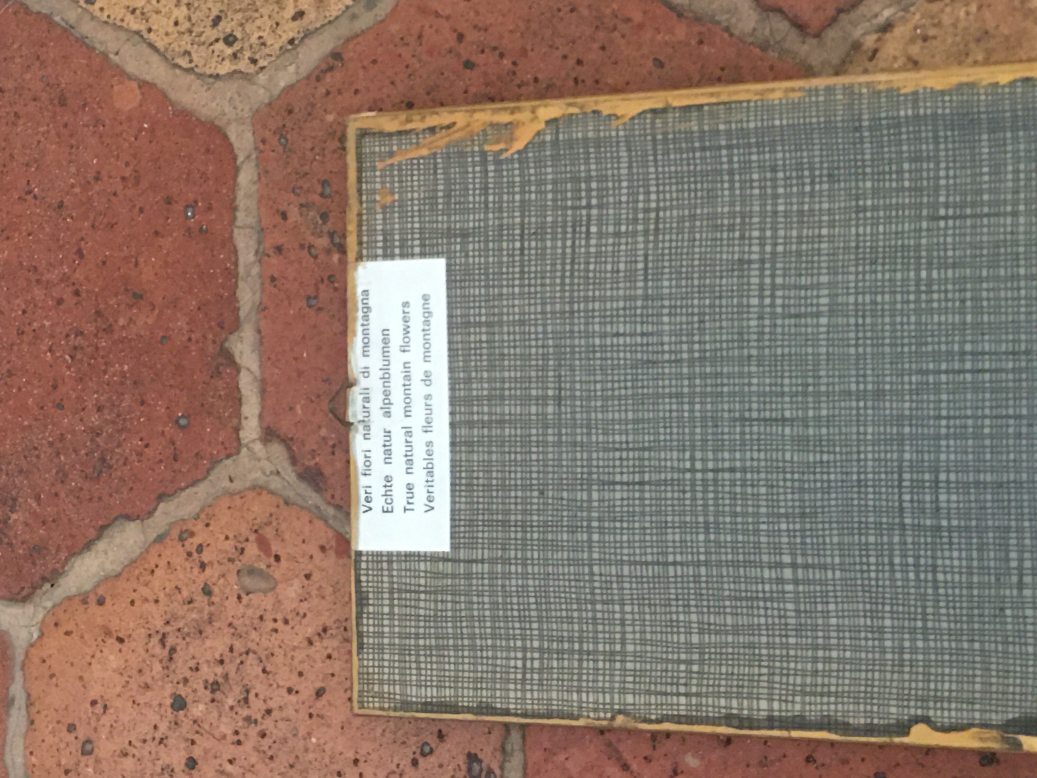 Mountain Herbier Edelweiss