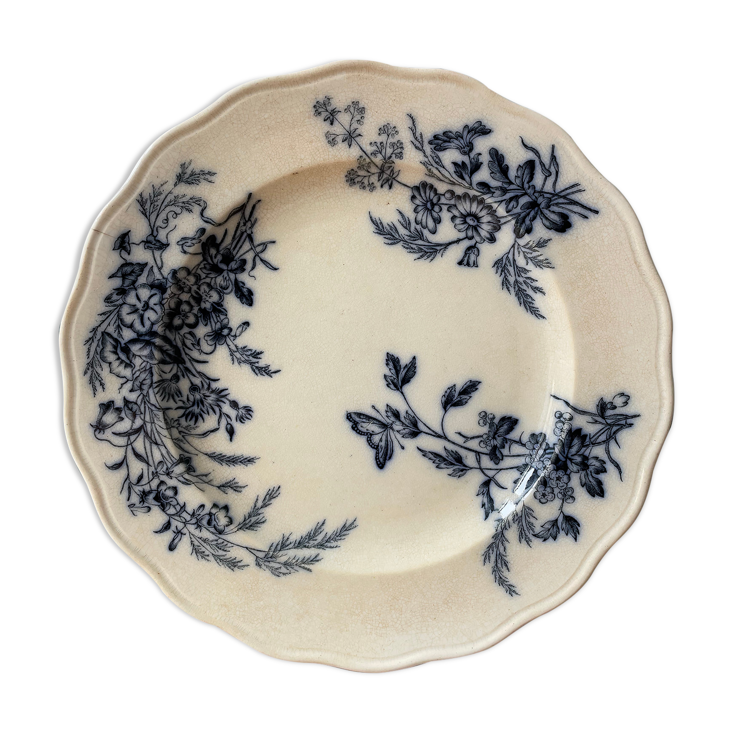 Assiette ancienne anglaise b.w.m & co, collection « salopia » xixème
