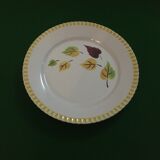 Set of 6 flat plates sarreguemines digoin