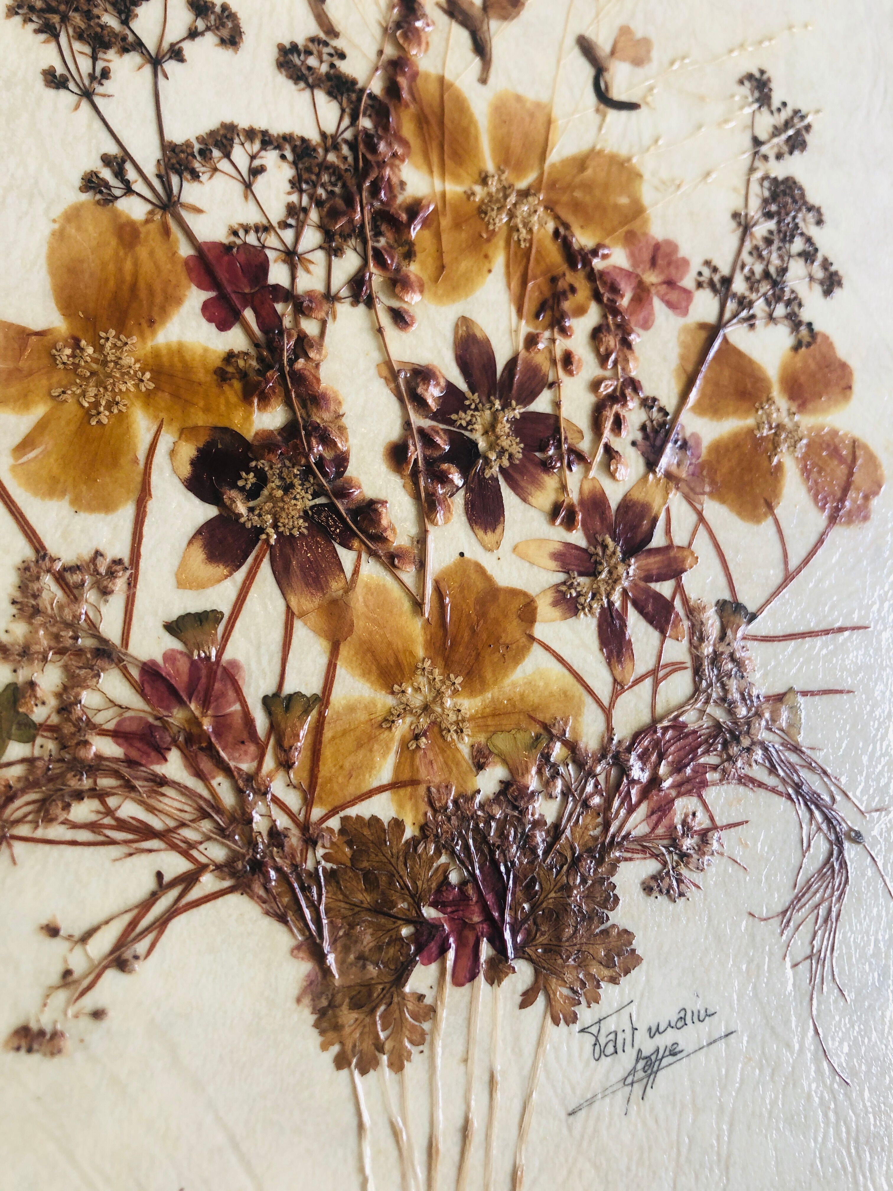 Frame dried flowers