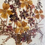 Frame dried flowers