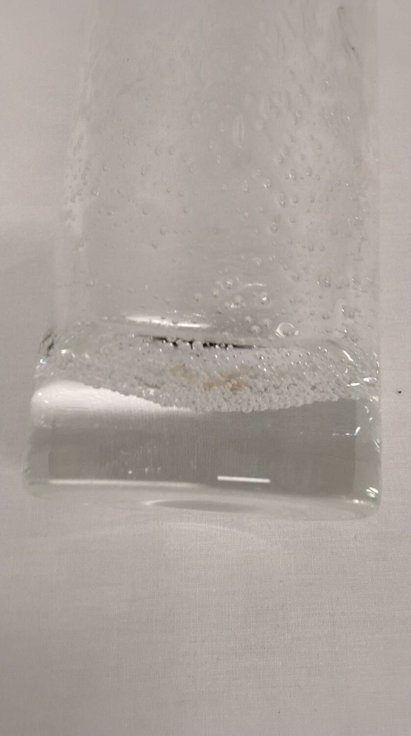 Bubble Glass Vase