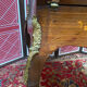 Wriitng desk laiding Louis XV style with secret compartment