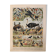 Lithograph of birds, peacock - 1900