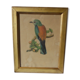 Bird frame