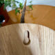 Vintage trophy deer antler