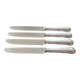 Ercuis - Set of 4 table knives model Chinon with metal outline.