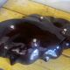 Large Fruit Bowl - Ceramic Centerpiece Vallauris 60s