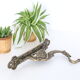Gothic dragon rack, plant door or brass mantle holder