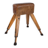 Vintage Gymnastics Vaulting Horse, Czechoslovakia, 1960s