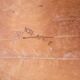 Baumann bar top stool, signed, wood, vintage, 1954