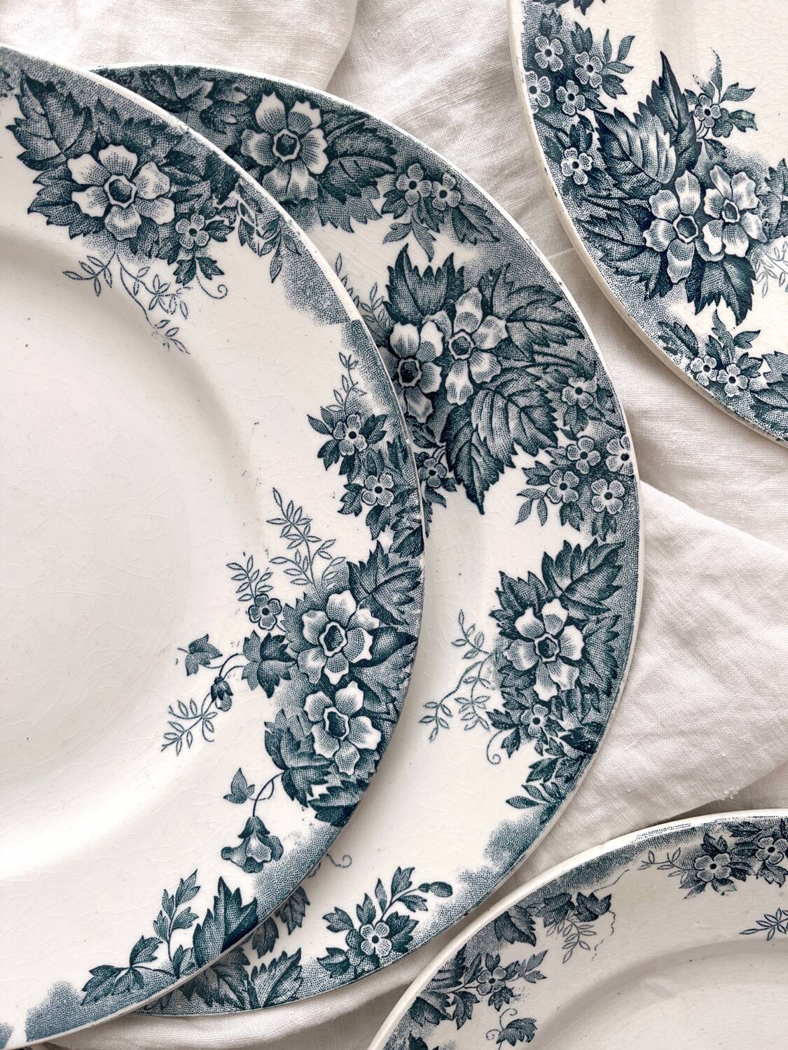 6 flat ironstone plates “Marie Louise” Saint Amand and Hamage
