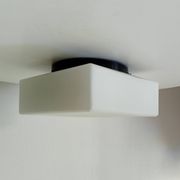 Vintage Vianne ceiling light in Opaline and Bakelite from the 60s/70s