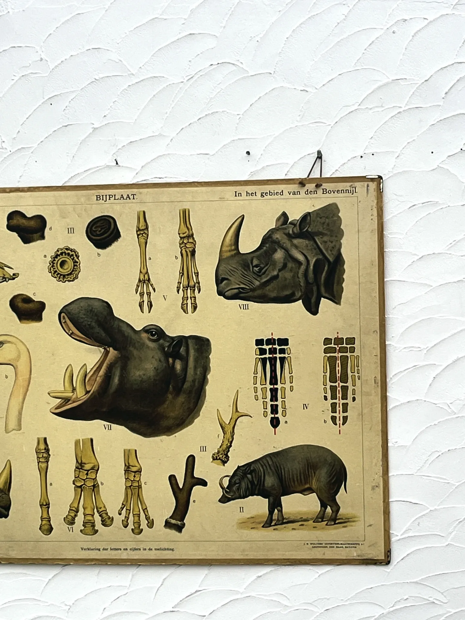 School poster J.B. Wolters
