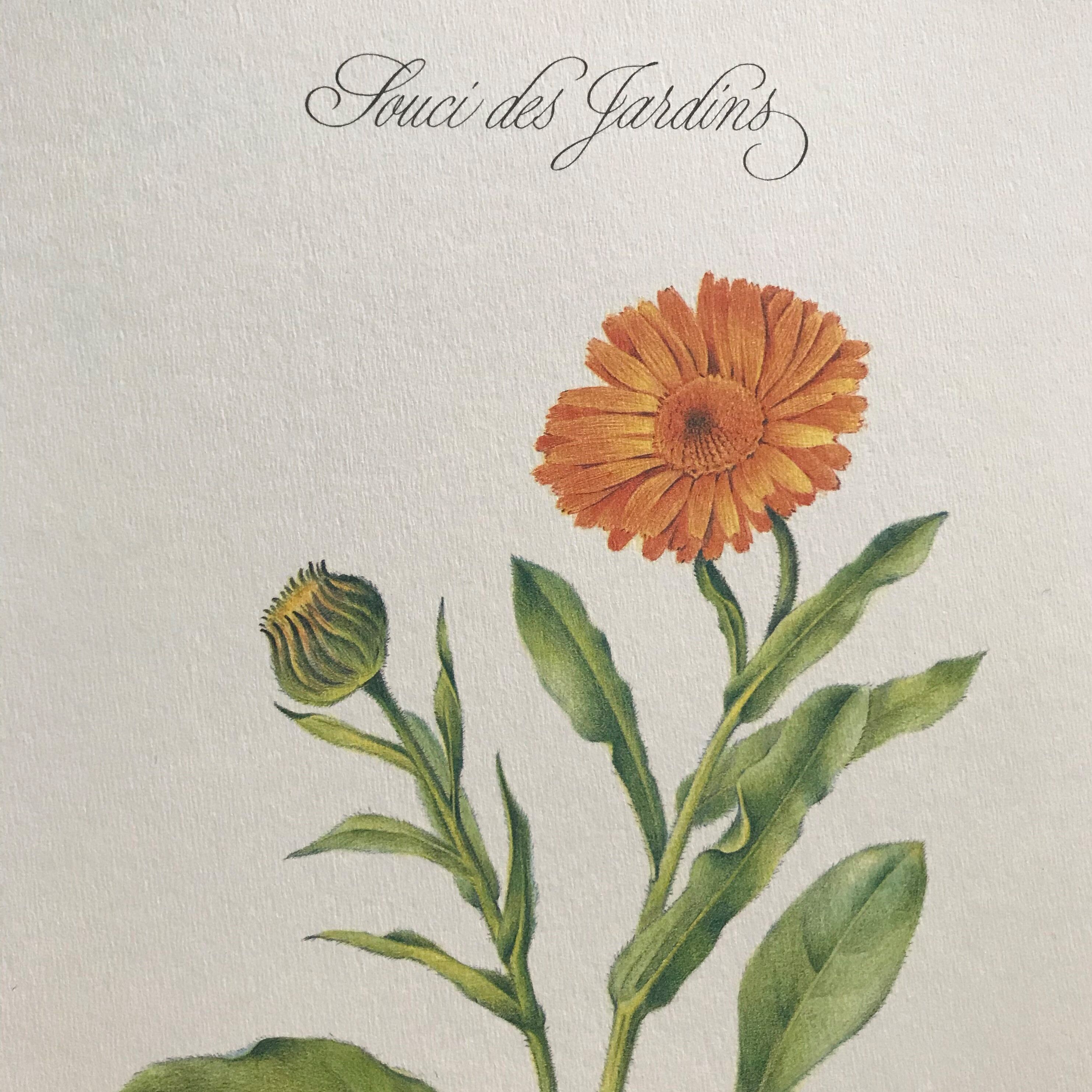 Botanical board the Garden Concern