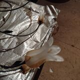 Wrought iron chandelier