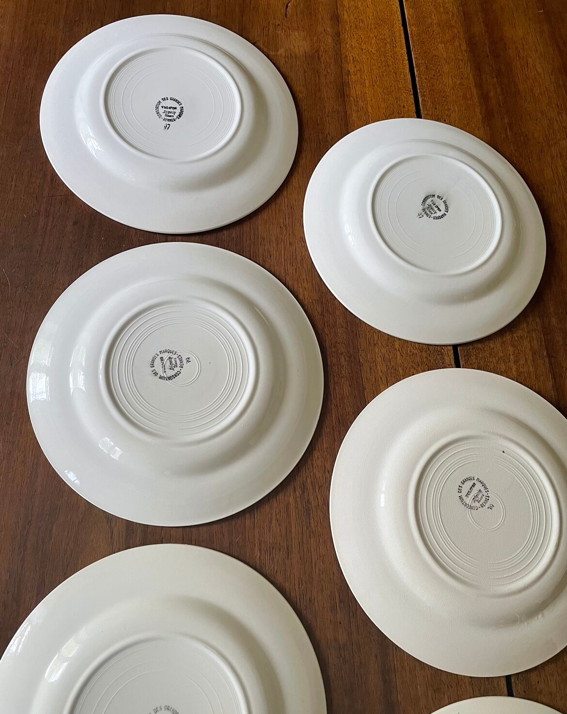 Flat plates Digoin tulips