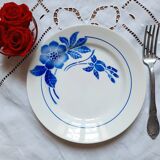 Old mismatched earthenware dinner plates