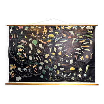 Grand tableau scolaire vintage en lin – 'Relations du règne animal'