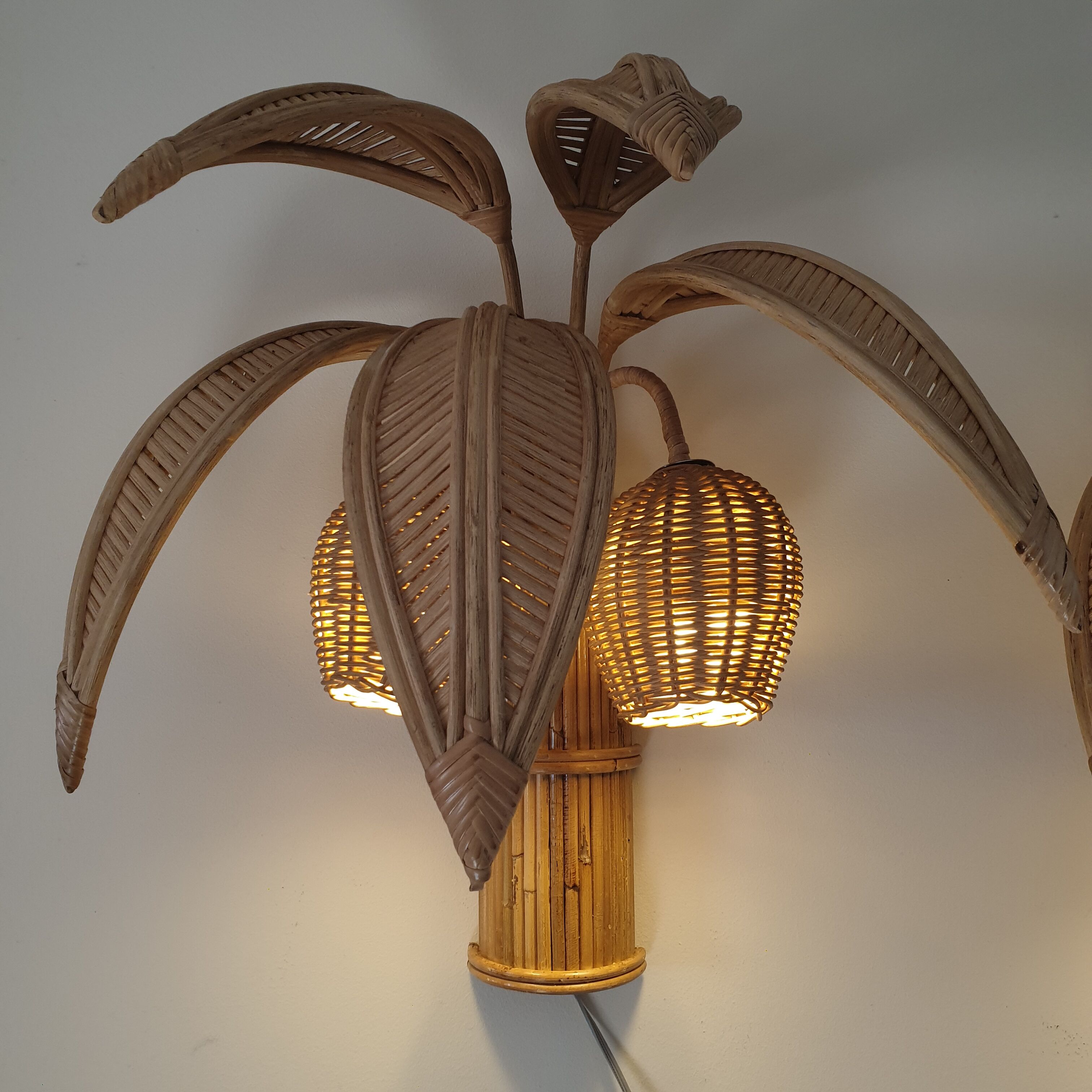 Pair of coconut sconces
