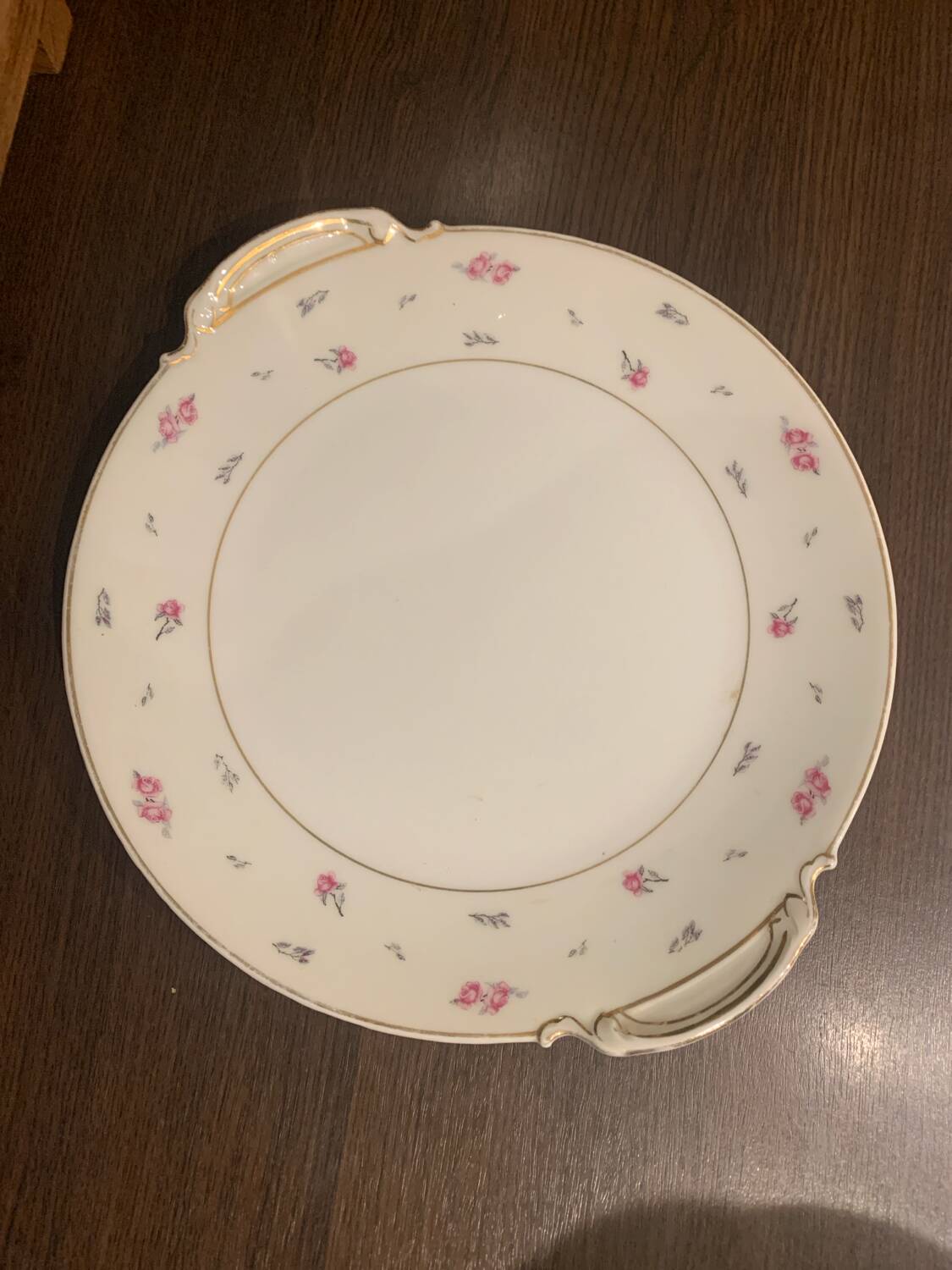 Limoges porcelain plate