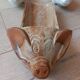 1 lot de 3 plats "tête de cochon" à  saucisson