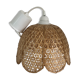 Suspension osier