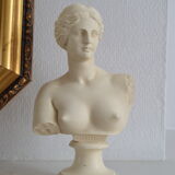 Bust Aopoaith Venus de Milo