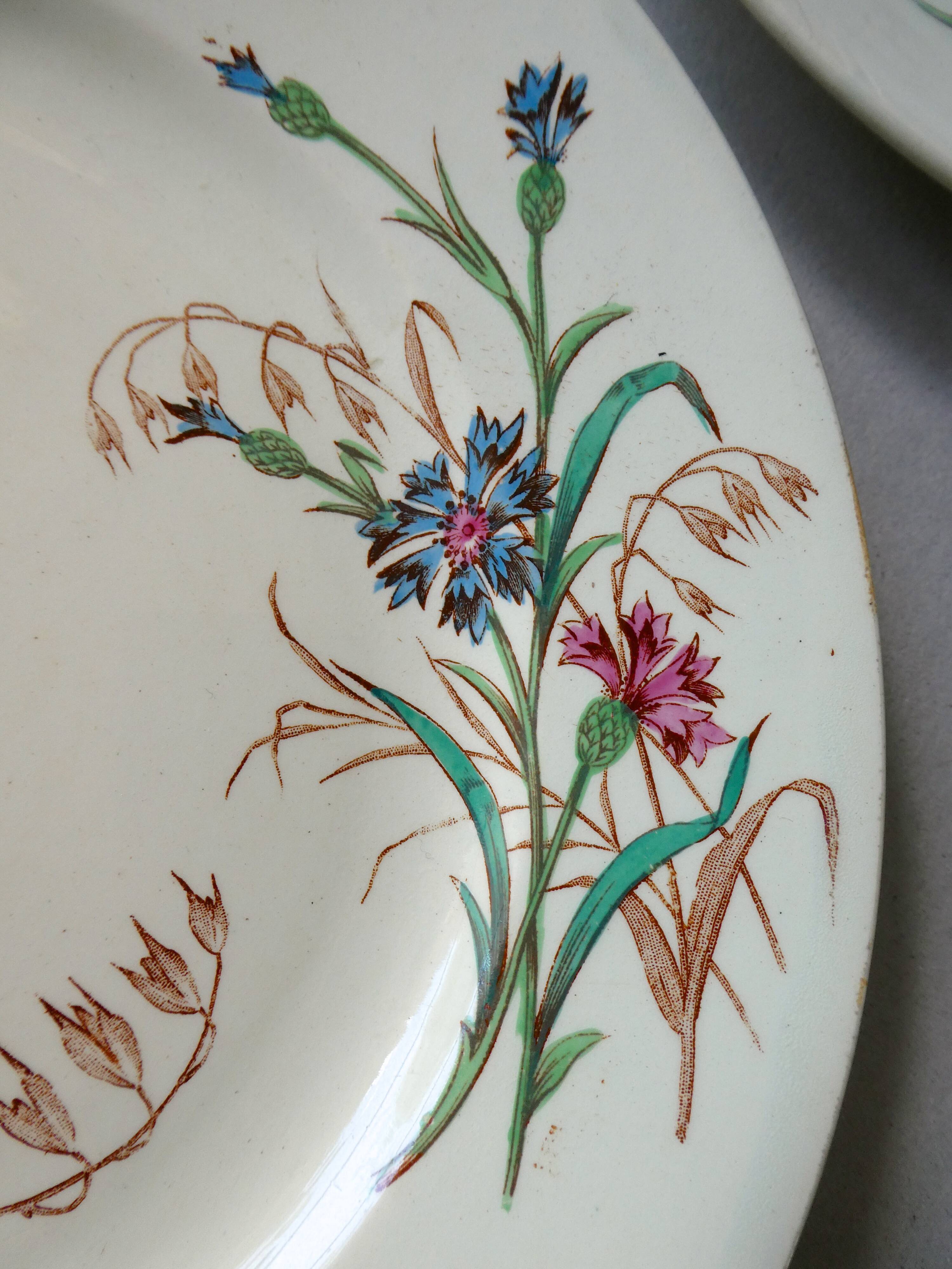 Set of 6 plates Blueberry decor Luneville France, 1900