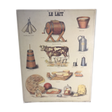 School poster by Bernard Carant - milk