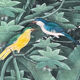 Peinture sur toile oiseaux
