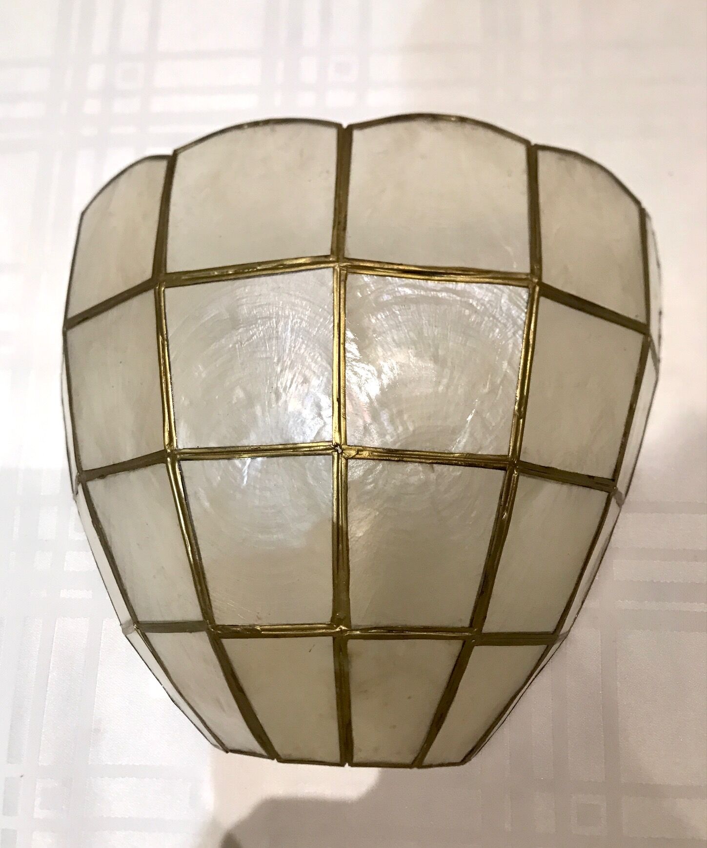 Pair of mother-of-pearl shell sconces