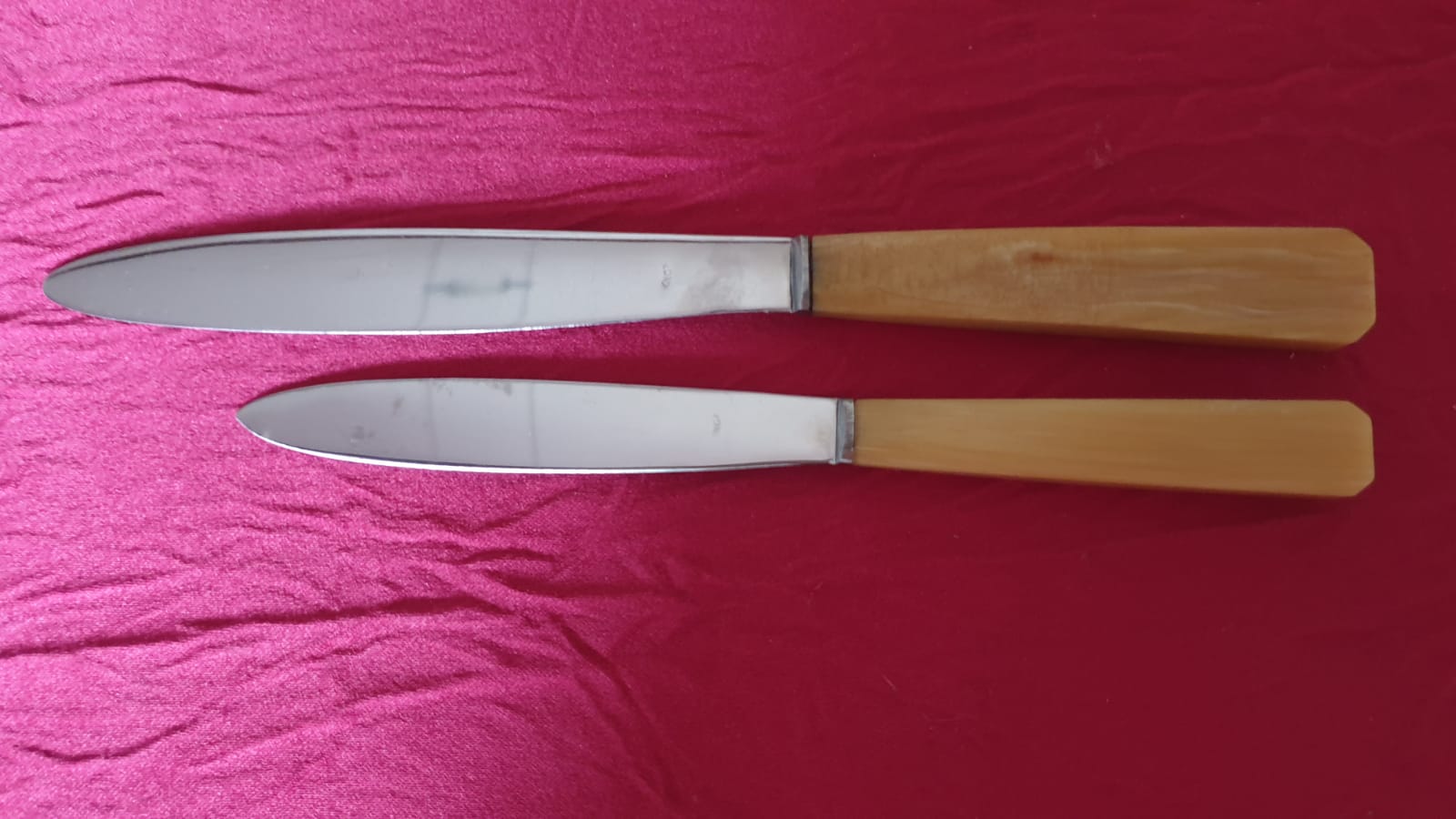 Box of 24 horn handle knives