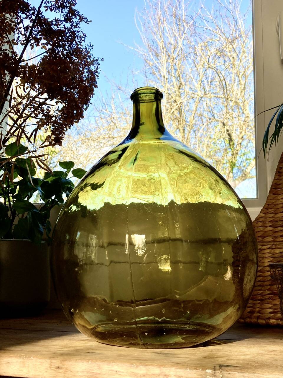10L demijohn in a pretty olive green