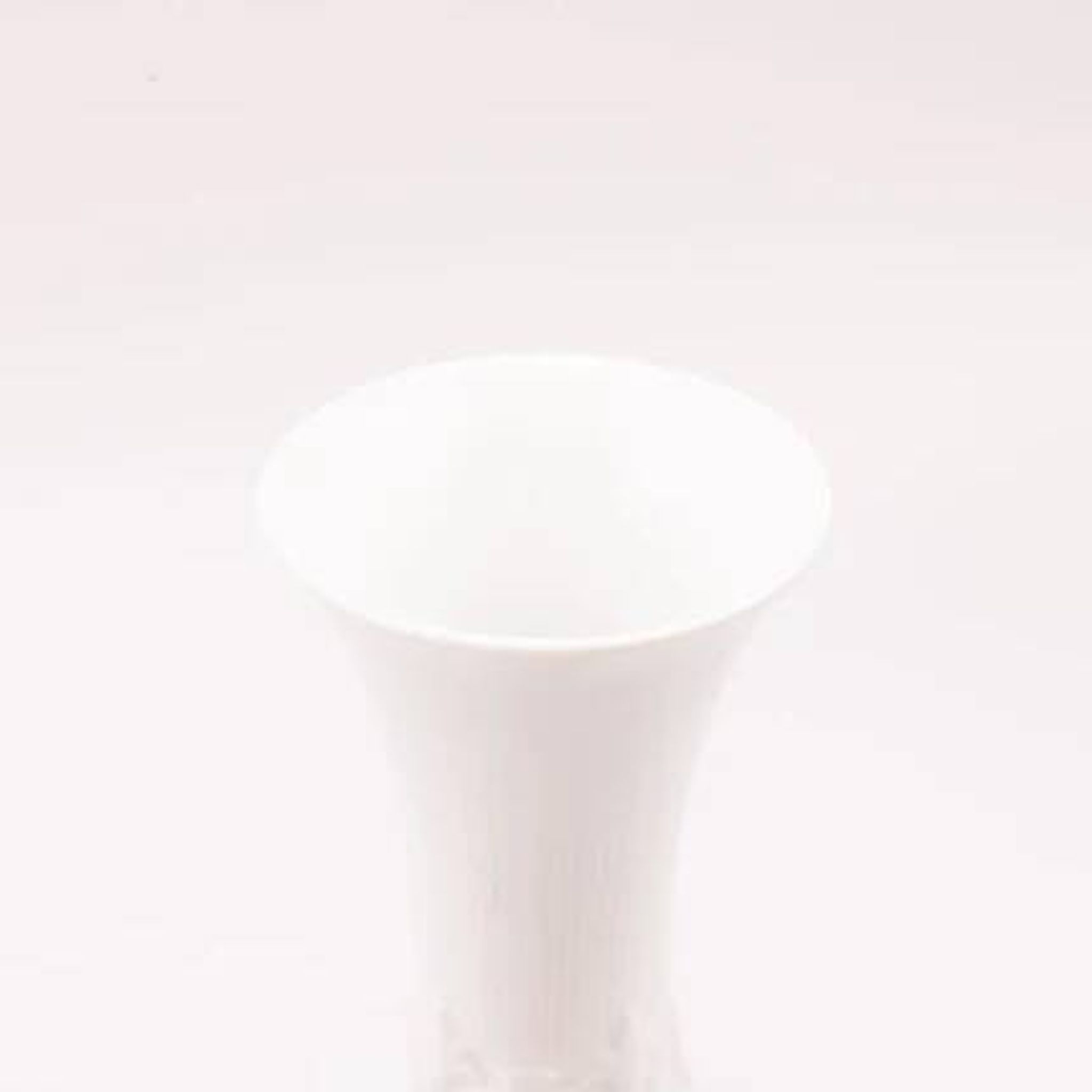Vintage white porcelain vase Royal Porzellan Royal Bavaria KPM with textured patterns.