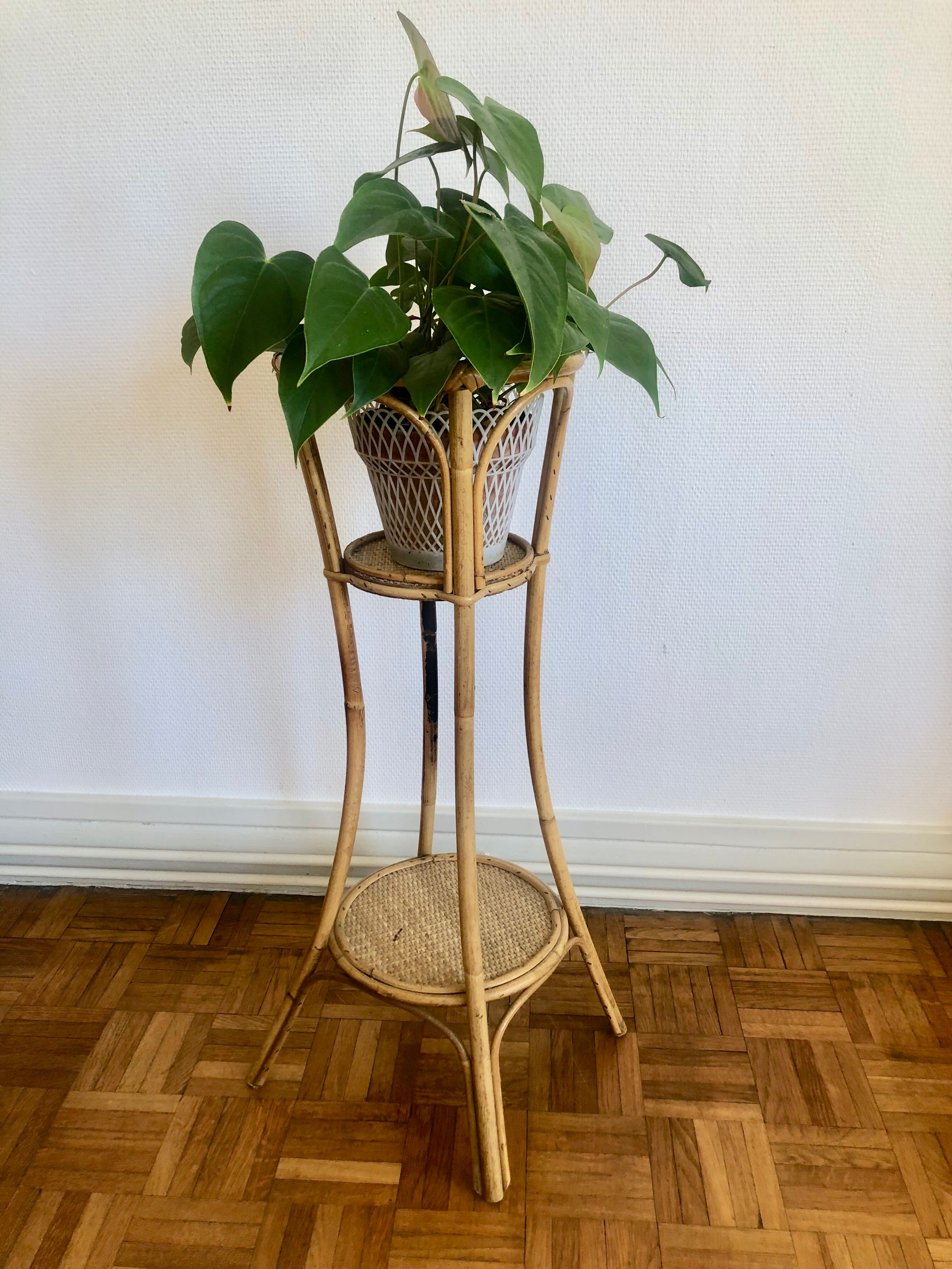 Rattan plant holder