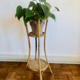 Rattan plant holder