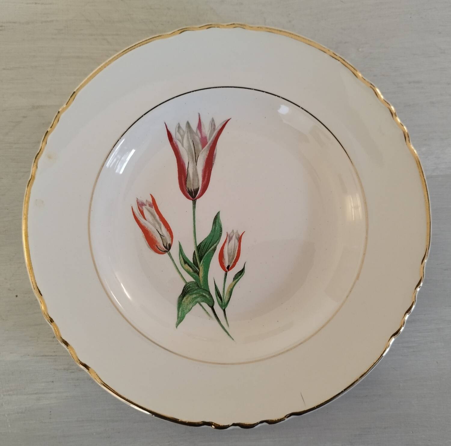 Old earthenware hollow plates Moulin des loups Orchies vintage tulip model