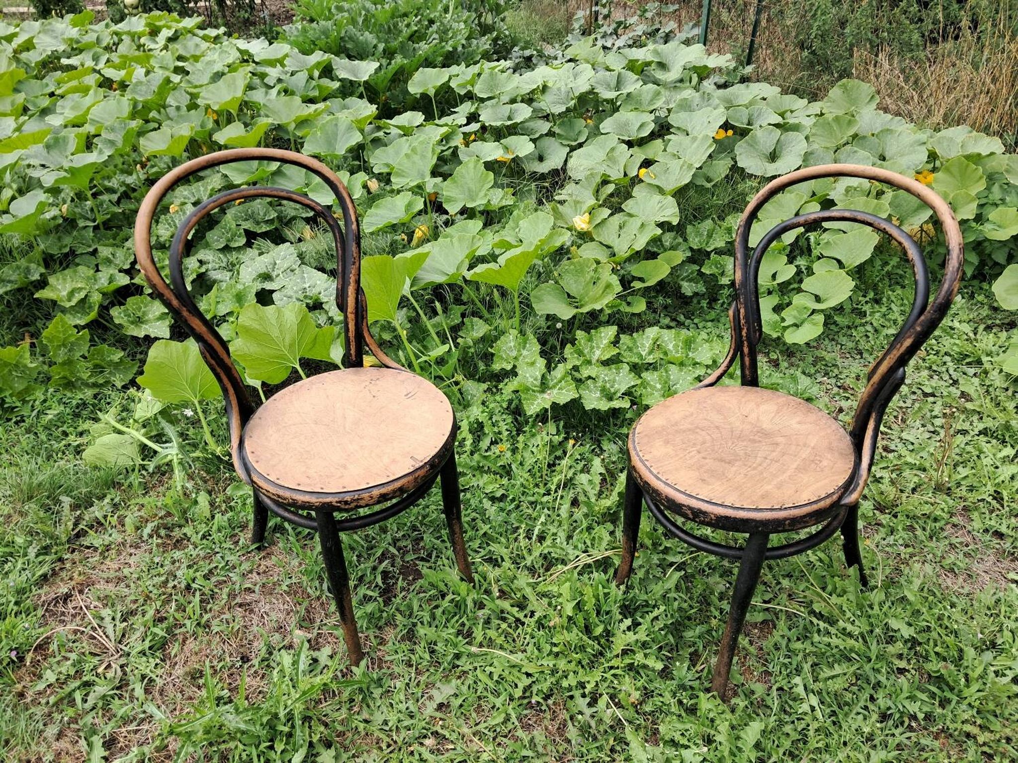 Pair of bistro-style chairs