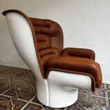 Elda lounge fauteuil– Joe Colombo, Longhi