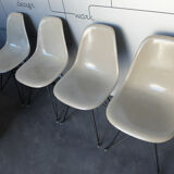 Chairs by Ray & Charles Eames for Herman Miller, 1950