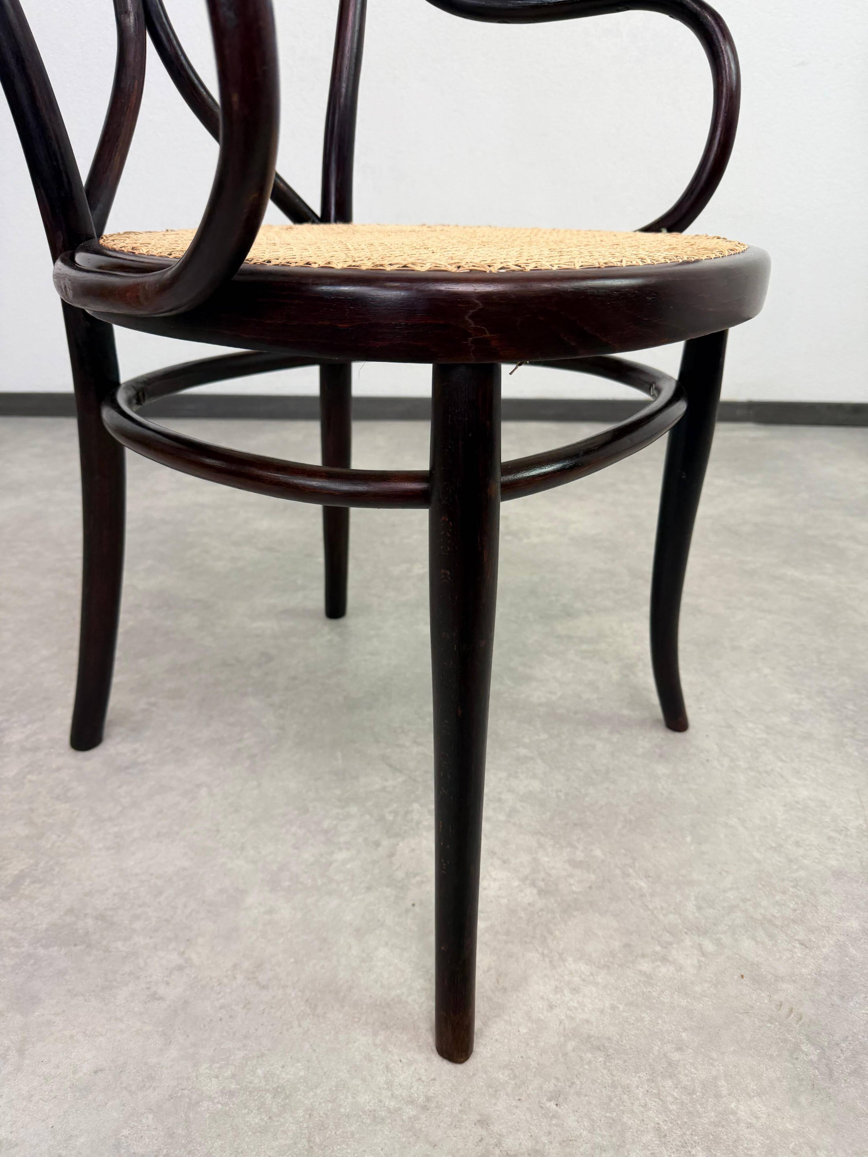 "Angel Back" armchair in bent wood no. 19 by Thonet
