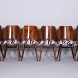 Ensemble de six chaises en hêtre du milieu du siècle, Oswald Heardtl, restauré, Tchéquie, années 1950