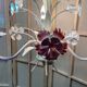 Antique florentine ceiling chandelier floral bouquet design 1970 decorative art sheet metal