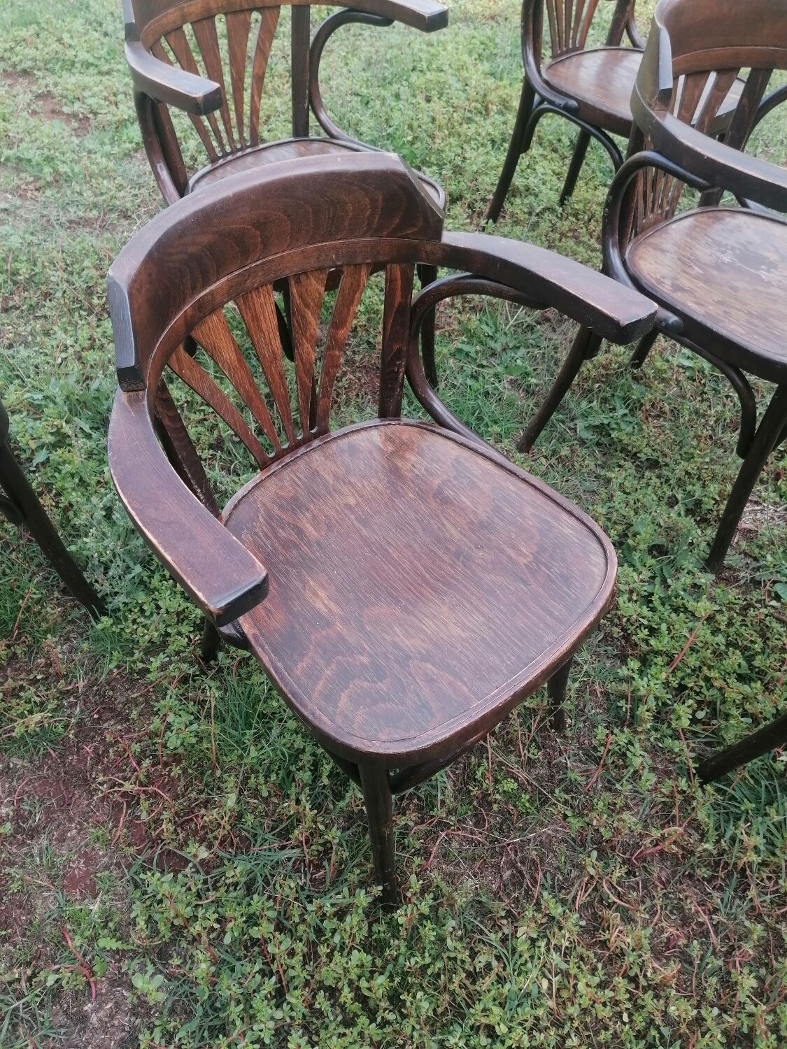Set of 30 vintage bistro armchairs