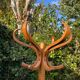 Baumann Parrot Coat Rack