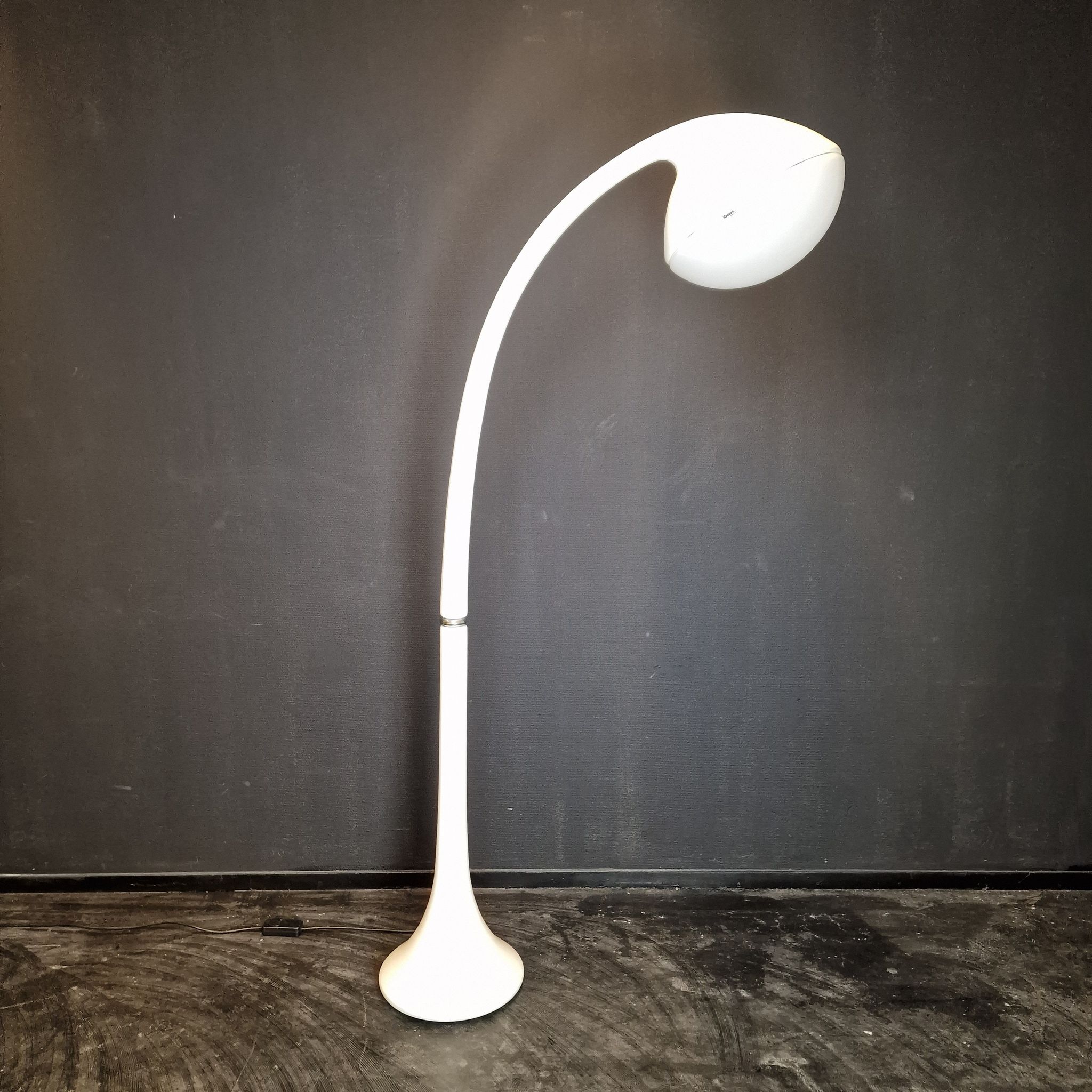 "Lampione" Floor Lamp by Fabio Lenci for Guzzini, Italy 1970's