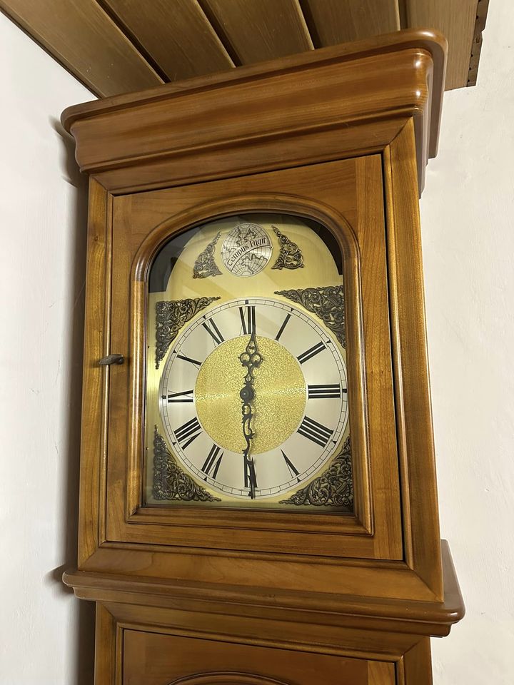 Horloge tempus fugit